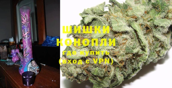 сатива Баксан