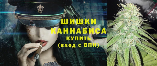 сатива Баксан