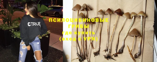 mdpv Арсеньев