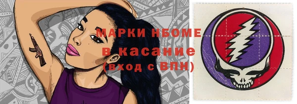 сатива Баксан