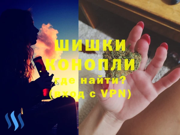 сатива Баксан